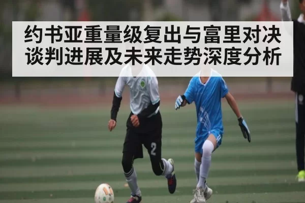 约书亚重量级复出与富里对决谈判进展及未来走势深度分析